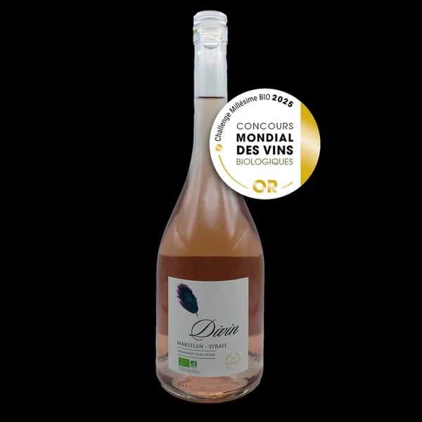 Bouteille de Divin – Rosé — DOMAINE CHAI CESAR, vin rosé