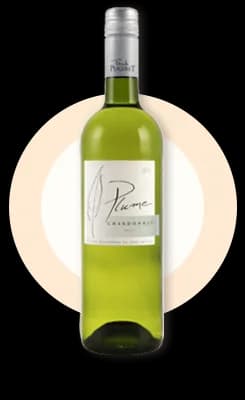 Bouteille de Plume Chardonnay 9% — DOMAINE LA COLOMBETTE, vin blanc