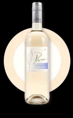 Bouteille de Plume Grenache 9% — DOMAINE LA COLOMBETTE, vin rosé