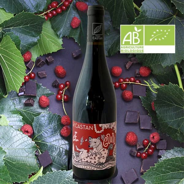 Bouteille de Le Goupil Bio — DOMAINE CASTAN, vin rouge