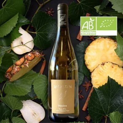 Bouteille de Miocène — DOMAINE CASTAN, vin rouge