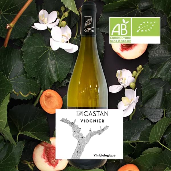 Bouteille de Savignus Viognier — DOMAINE CASTAN, vin blanc