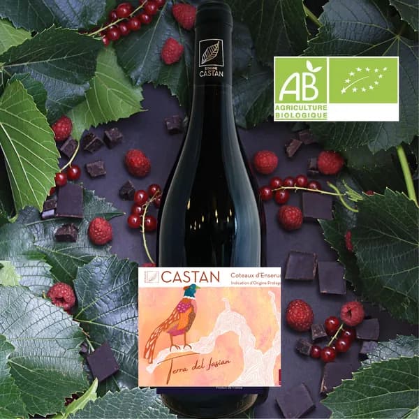 Bouteille de Terra del Fasian — DOMAINE CASTAN, vin rouge