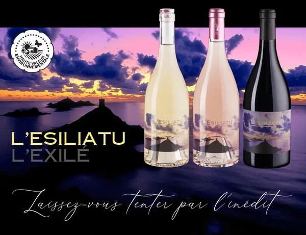 Bouteille de L'Esiliatu — DOMAINE DE LA GOURGASSE NEUVE, vin rosatu/biancu/rossu