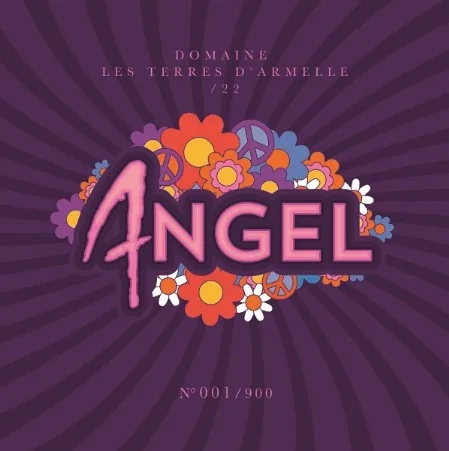 Bouteille de ANGEL — DOMAINE LES TERRES D'ARMELLE, vin rouge