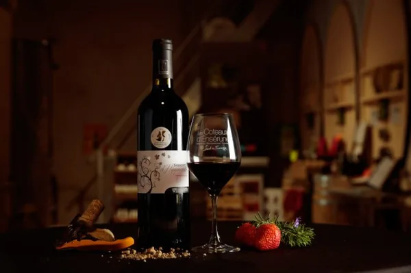Bouteille de Sarment d'Hippocrate — DOMAINE SAINT GEORGES LES CARDINELLES, vin rouge