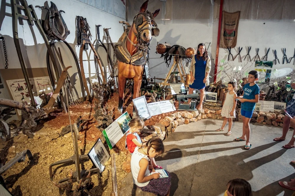 Intérieur du Musée des Émile Vignerons : cheval de trait naturalisé harnaché entouré d'outils agricoles anciens, une animatrice et des enfants en visite découvrent la scénographie. Photo pro lumineuse (1200x800) qui valorise l'offre oenotouristique/patrimoniale du domaine.