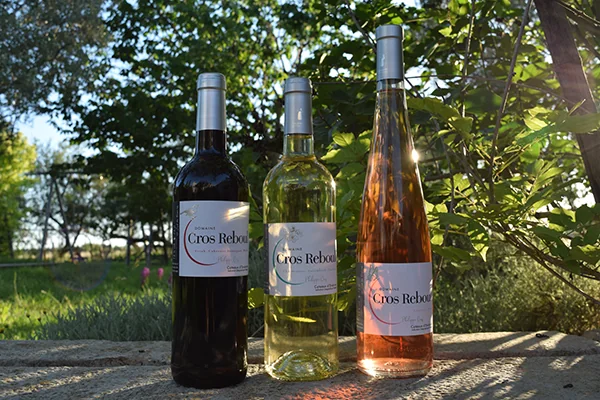 Packshot lifestyle des trois cuvees Cros Reboul (rouge, blanc, rose) alignees sur un muret de pierre en exterieur, devant une vegetation verte avec lumiere du soleil filtrant entre les branches. Belle photo de bouteilles en situation (pas une etiquette plate). 600px de large.