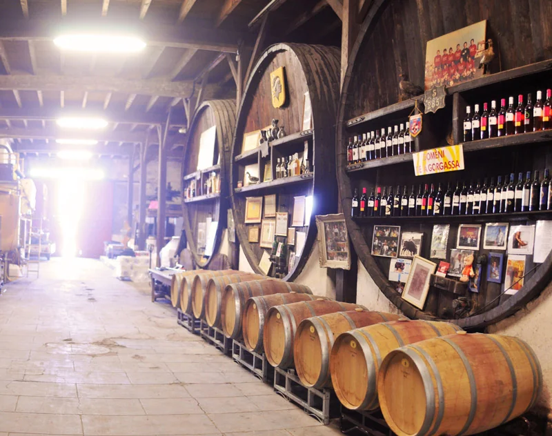 Superbe vue du chai : alignement de barriques de chêne au premier plan, immenses foudres en bois sombre en arrière-plan, étagères couvertes de bouteilles, photos et trophées de famille/rugby. Lumière chaude en fond. Très atmosphérique, raconte l'âme du domaine. Image phare (og:image).