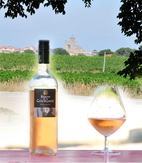 Domaine de la Gourgasse Neuve — image