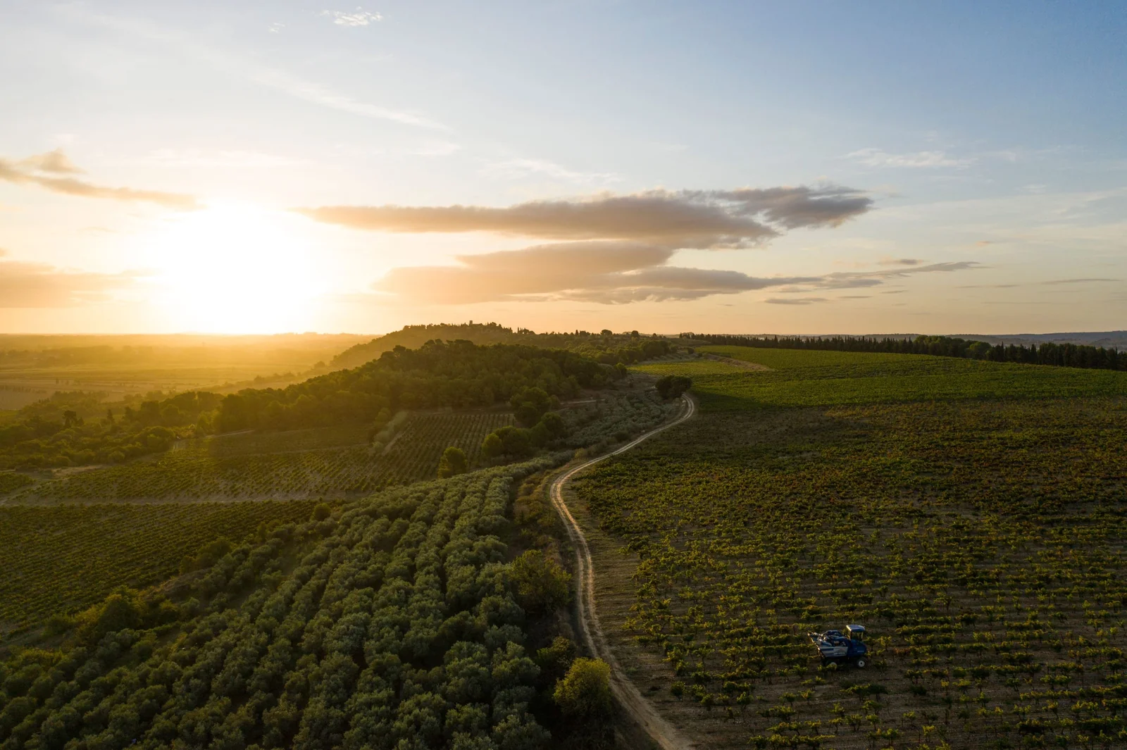 Domaine de Soustres — paysage