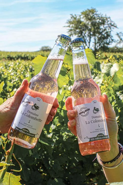 Belle photo lifestyle : deux mains trinquant avec des bouteilles 'Toast Vigneron' (rose desalcoolise Domaine La Colombette) dans les vignes ensoleillees. Packshot en situation, tres vendeur.