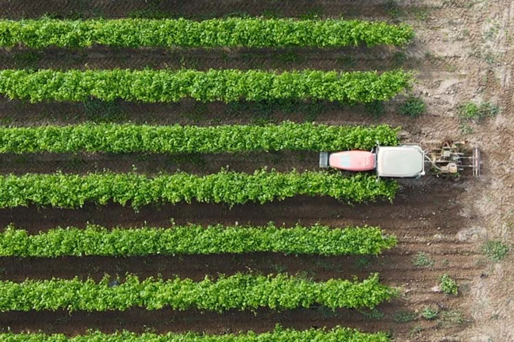Magnifique vue aerienne verticale (top-down) : tracteur travaillant entre des rangs de vignes vert vif a Bellerive, terre ocre. Composition graphique tres reussie, ideale pour illustrer le travail des parcelles.