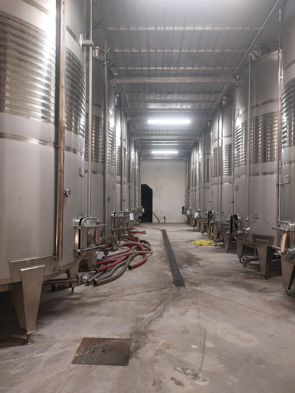 Chai de vinification : longue allee bordee de cuves inox de chaque cote, tuyaux au sol, perspective fuyante. Belle image de l'outil de production moderne.
