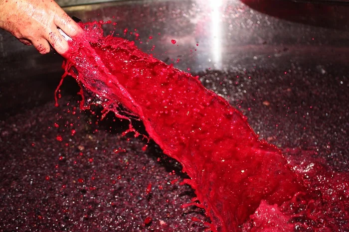 Remontage : flux de mout rouge vif eclaboussant par-dessus le marc dans une cuve, main du vigneron visible. Image spectaculaire et coloree du travail au chai. 700x466.