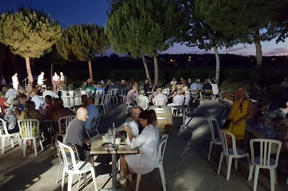 Soiree conviviale dans les jardins au crepuscule (1050x700) : tables et convives attables, concert au fond, vignes et pins parasols se decoupant sur un ciel rose. Ambiance oenotouristique chaleureuse mais qualite de cliche d'evenement (un peu sombre/charge).