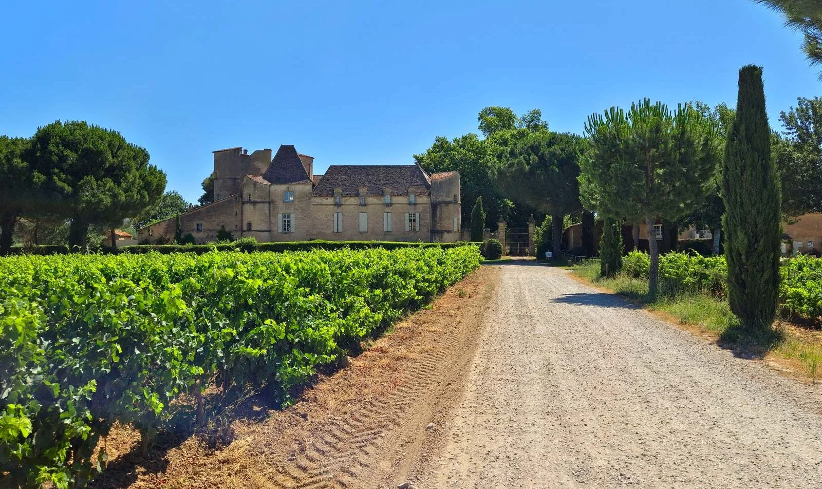 Domaine Perdiguier — image