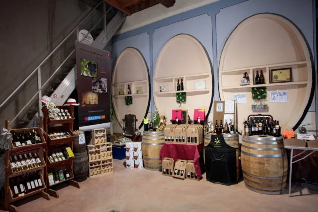 Vue d'ensemble du caveau de dégustation/vente : grands foudres ovales en bois, bouteilles présentées sur tonneaux, cuves inox. Espace d'accueil oenotouristique chaleureux et caractéristique.