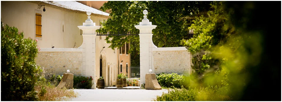 Entree du domaine : portail en pierre de taille (deux piliers a boules) ouvrant sur la cour et le mas, encadre par la vegetation, avec des barriques et des pots de fleurs. Lumiere d'ete, cadrage soigne — superbe plan d'ambiance / etablissement du domaine.