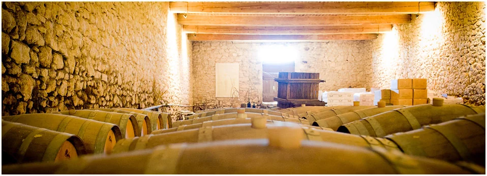 Interieur du chai voute : longues rangees de barriques sous des poutres en bois eclairees, murs en pierre seche, pressoir vertical en bois au fond. Tres belle atmosphere de cave, lumiere chaude.