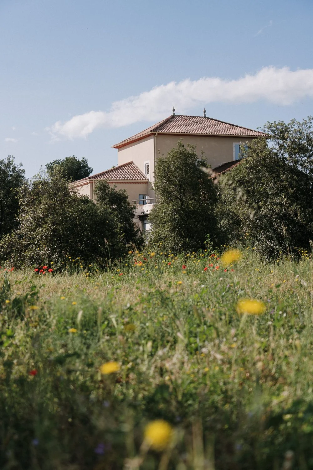 Le mas / batiment du domaine (toiture en tuiles, etage ocre clair) photographie a travers une prairie de fleurs sauvages (coquelicots, pissenlits) et des arbres verts, sous un ciel bleu. Cadrage editorial, belle profondeur de champ, lumiere douce. Tres valorisant pour incarner le lieu.